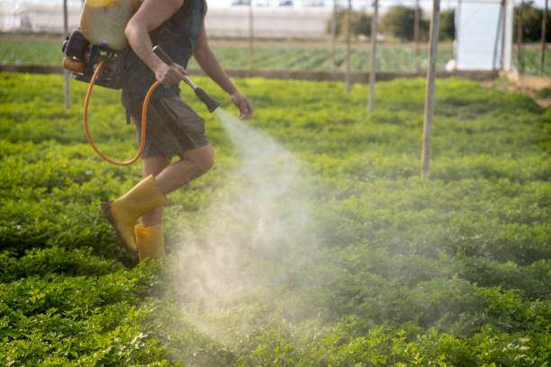 Best Pest Prevention Services  in Fort Worth, TX