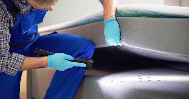 Best Pest Control for Businesses  in Fort Worth, TX