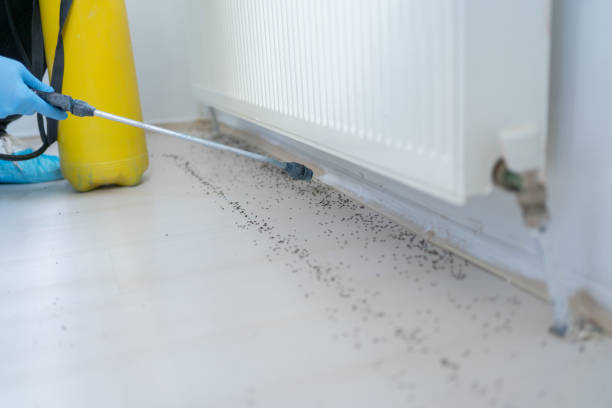 Best Affordable Pest Control Services  in Fort Worth, TX