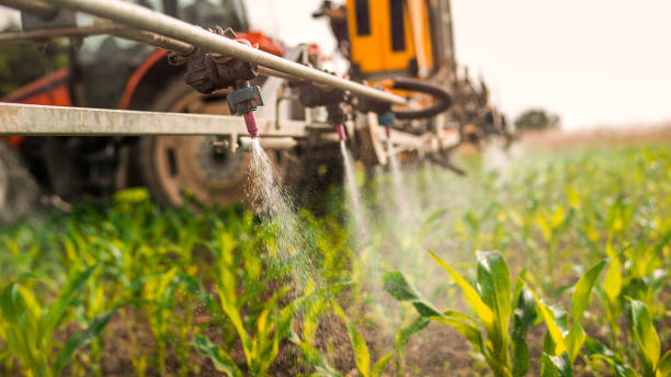 Best Commercial Pest Control Services  in Fort Worth, TX